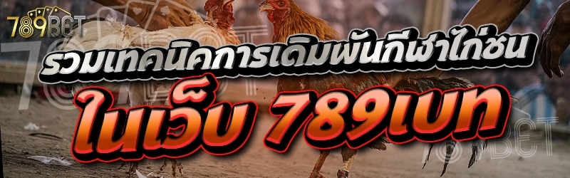 รวมเทคนิคการเดิมพันกีฬาไก่ชน ในเว็บ 789เบท