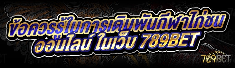ข้อควรรู้ในการเดิมพันกีฬาไก่ชนออนไลน์ ในเว็บ 789bet